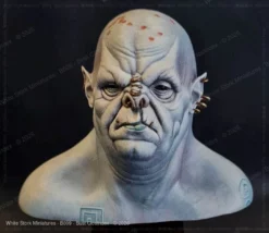 Bust Clostridex