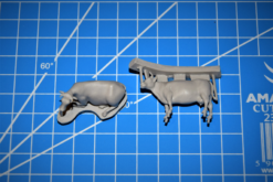 Alternative view of Figures Cows