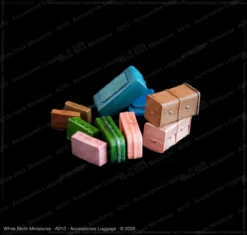 Accessories Luggage