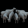 Figures Sheep