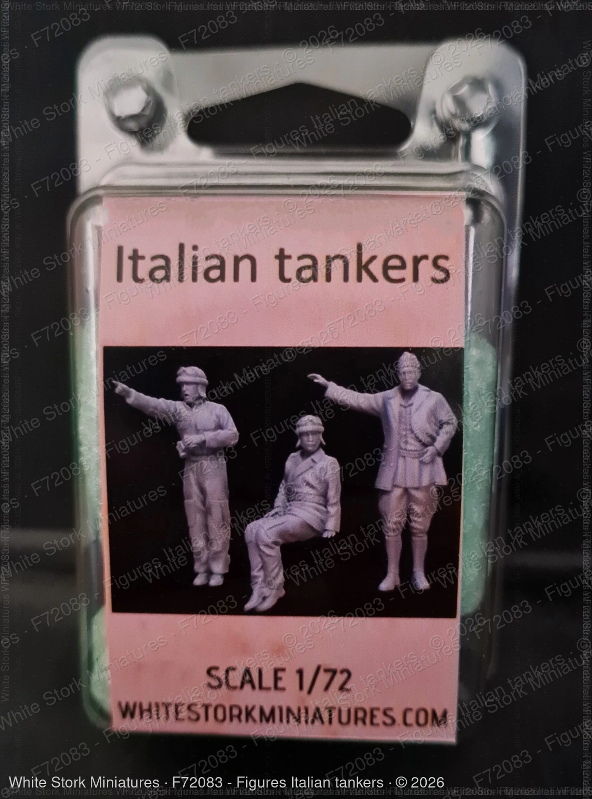 Figures Italian tankers - Image 3
