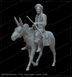 Figures Arab on a donkey