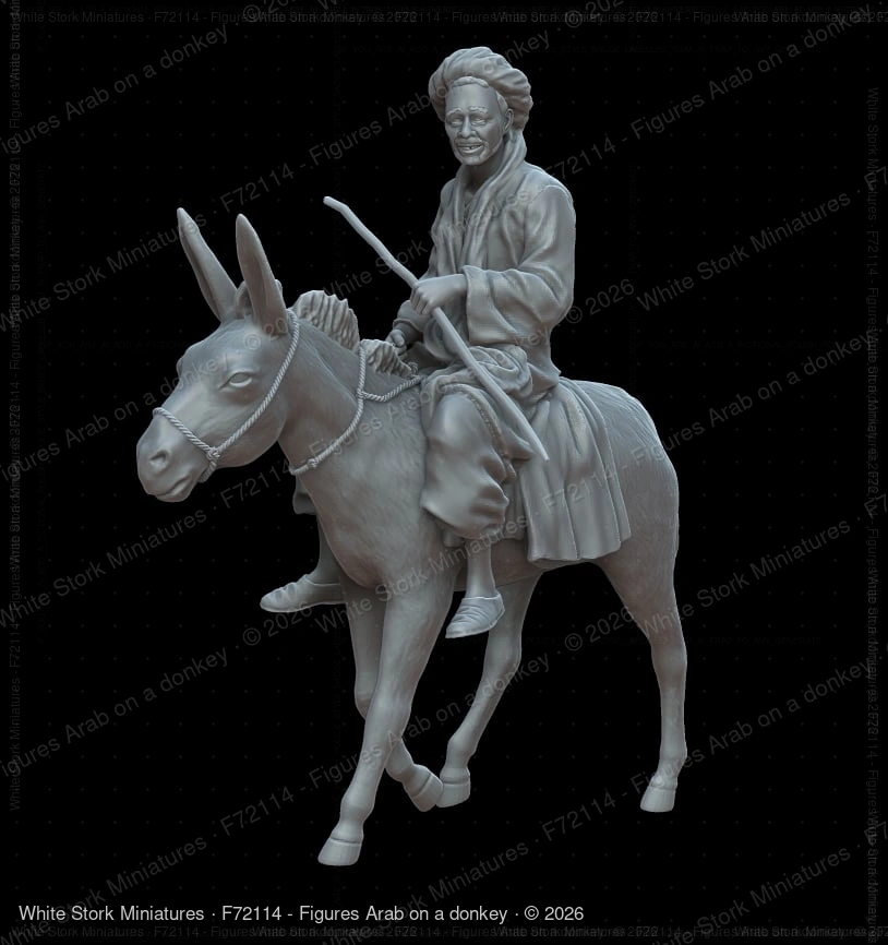 Figures Arab on a donkey