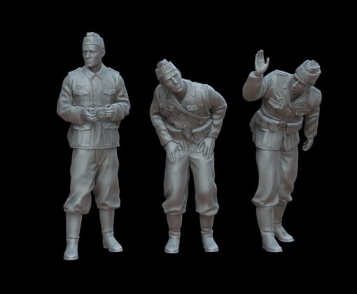 Figures  Inspection.  German soldiers 1939-1941
