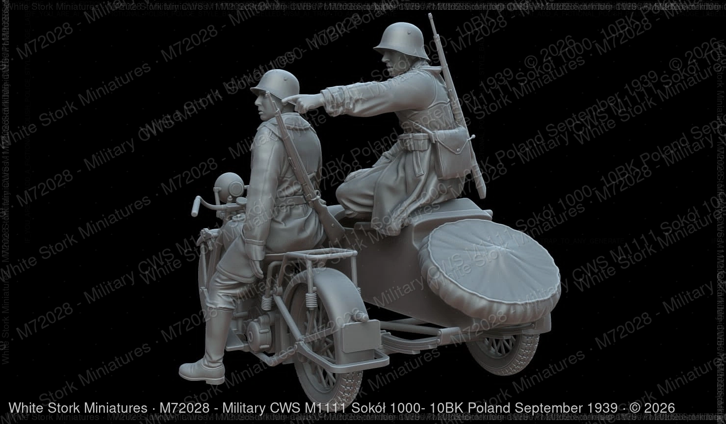 Military CWS M1111 Sokół 1000- 10BK Poland September 1939 - Image 7