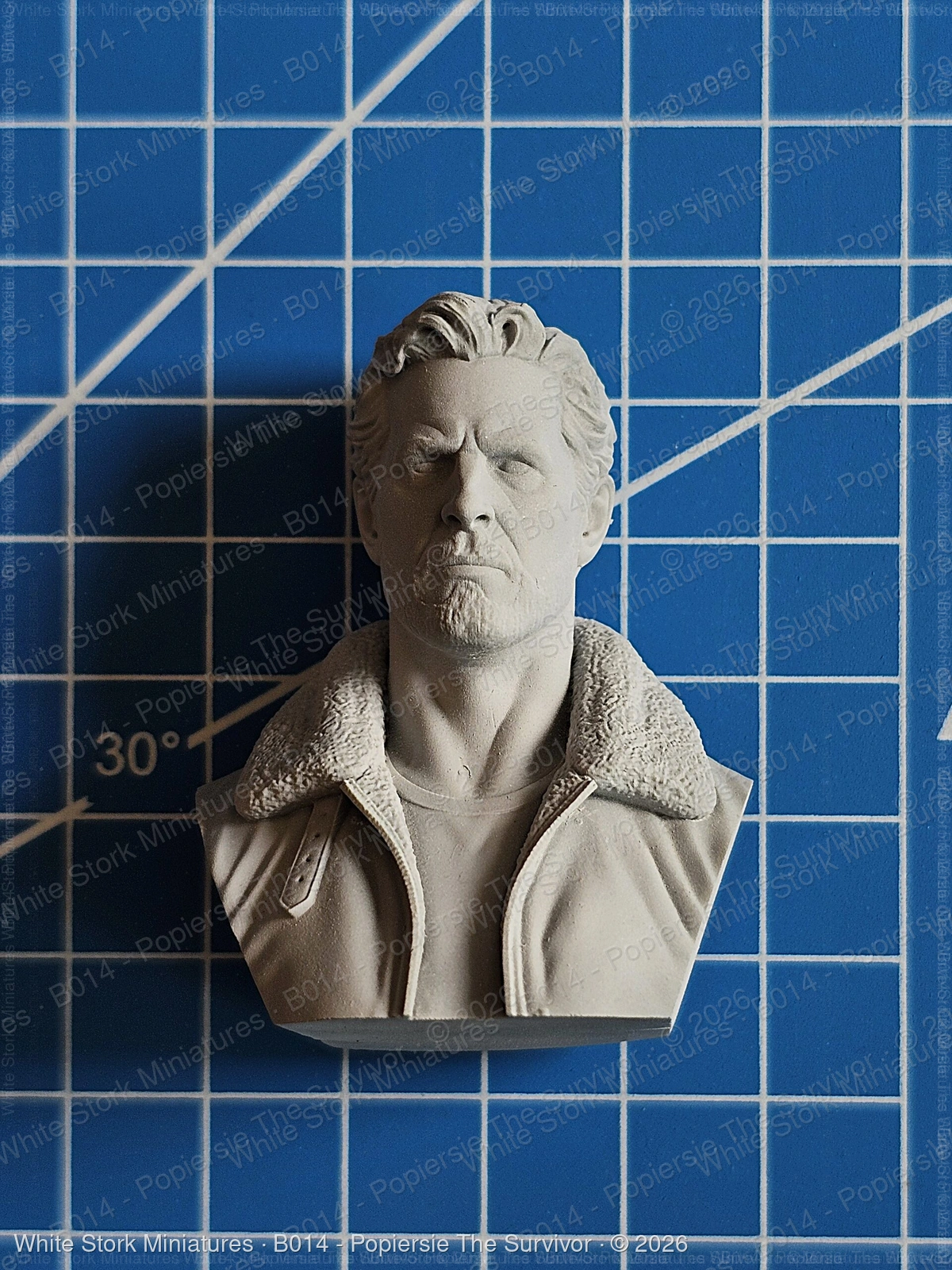 Bust The Survivor - Image 5