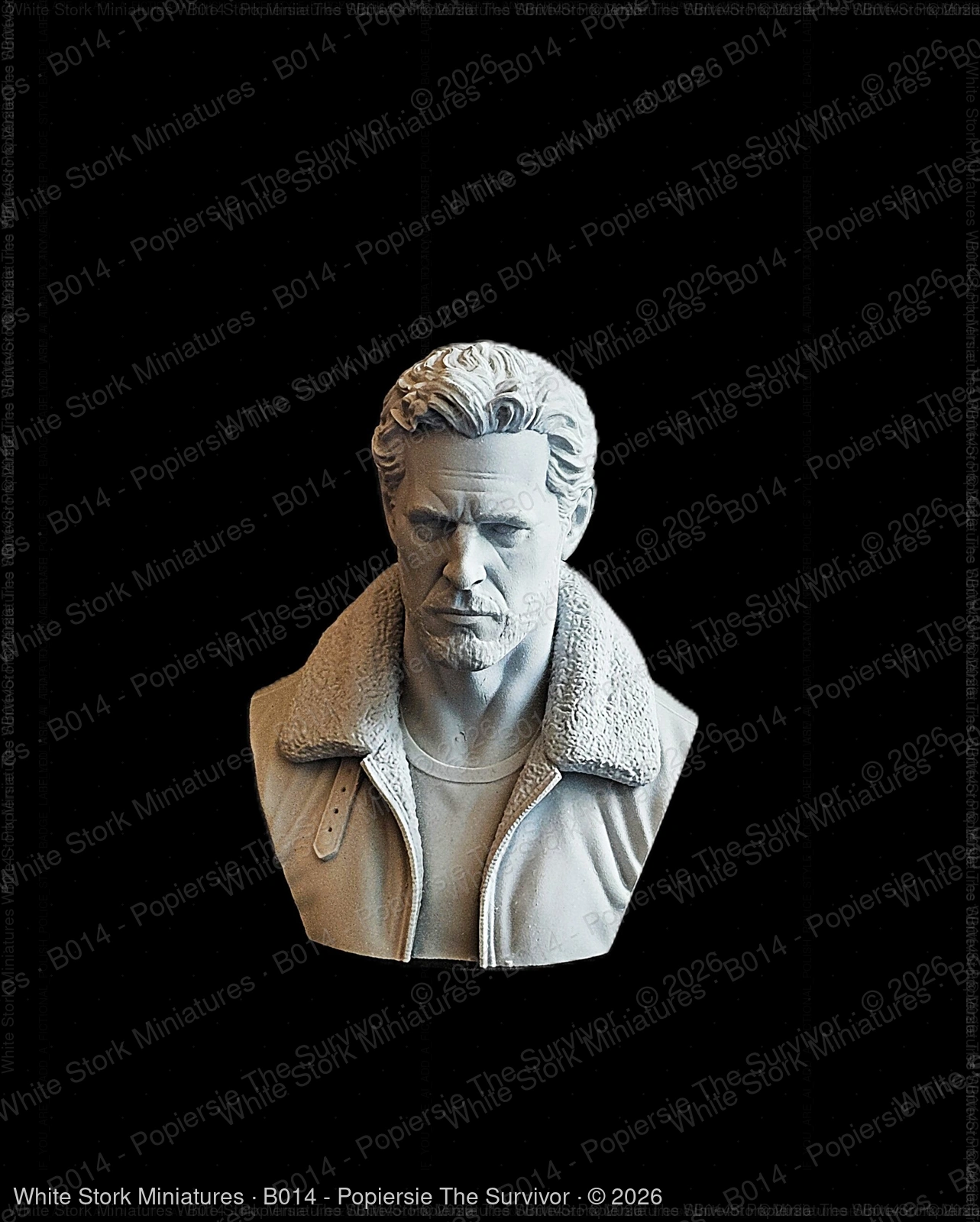 Bust The Survivor - Image 2