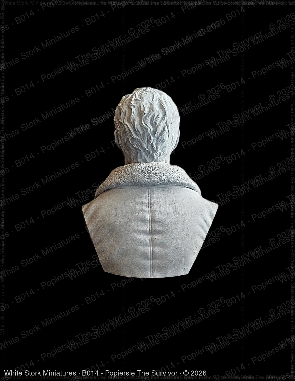 Bust The Survivor - Image 4